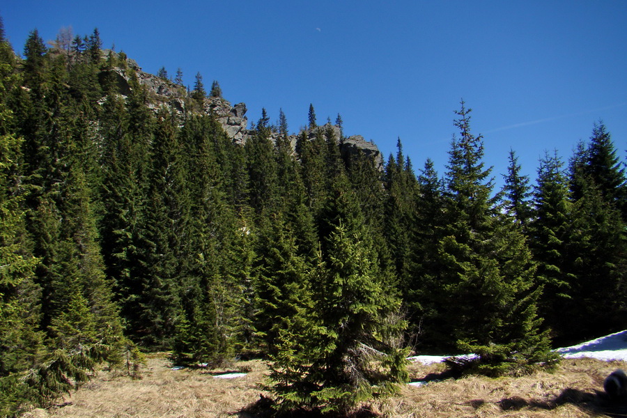 Kráľova hoľa z Telgárta (Nízke Tatry)