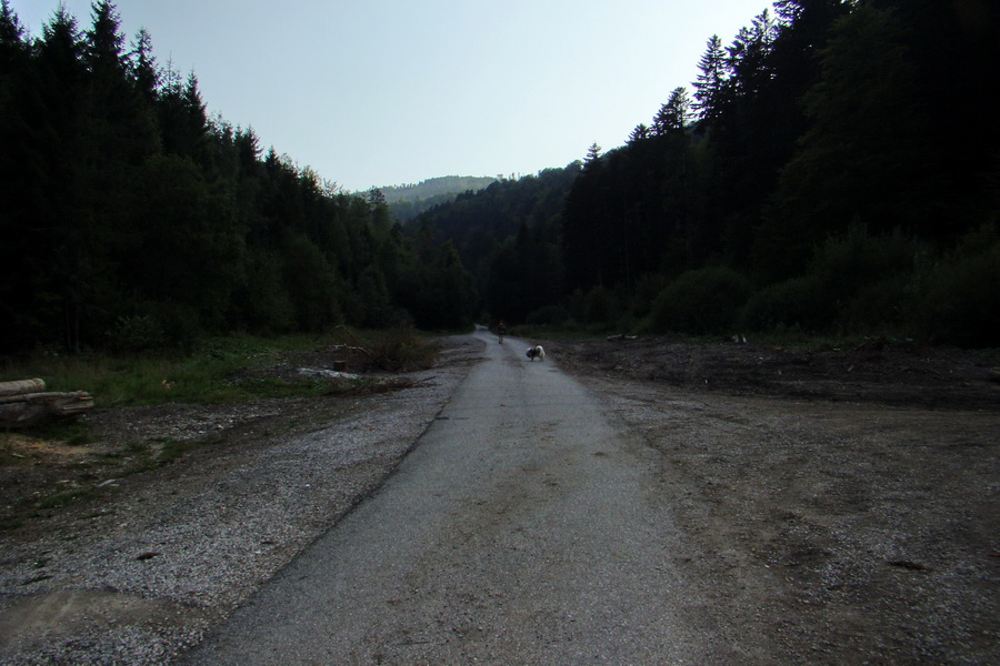 Skalisko a Zlatý stôl s nocľahom (Volovské vrchy)