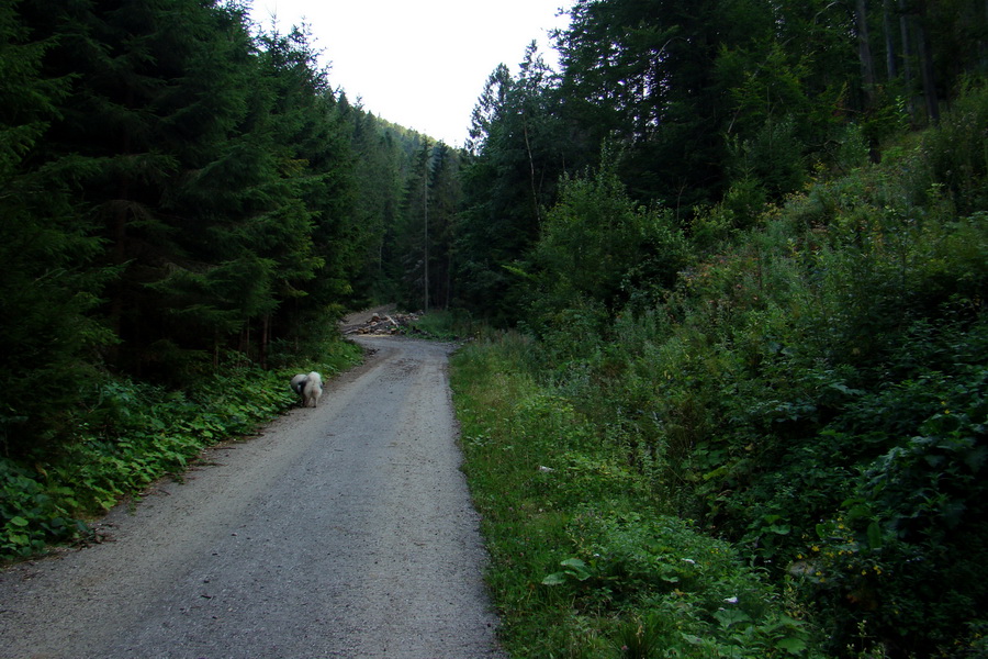 Skalisko a Zlatý stôl s nocľahom (Volovské vrchy)