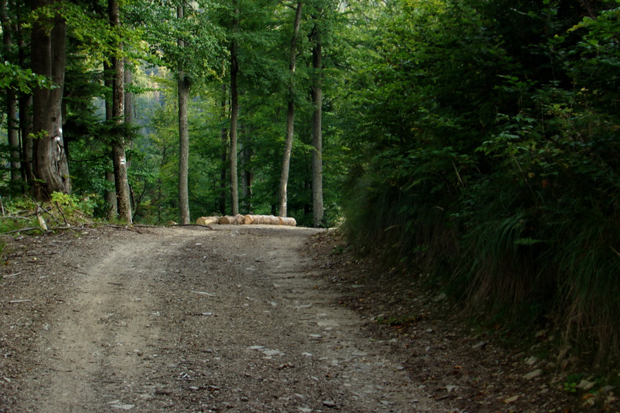 Skalisko a Zlatý stôl s nocľahom (Volovské vrchy)