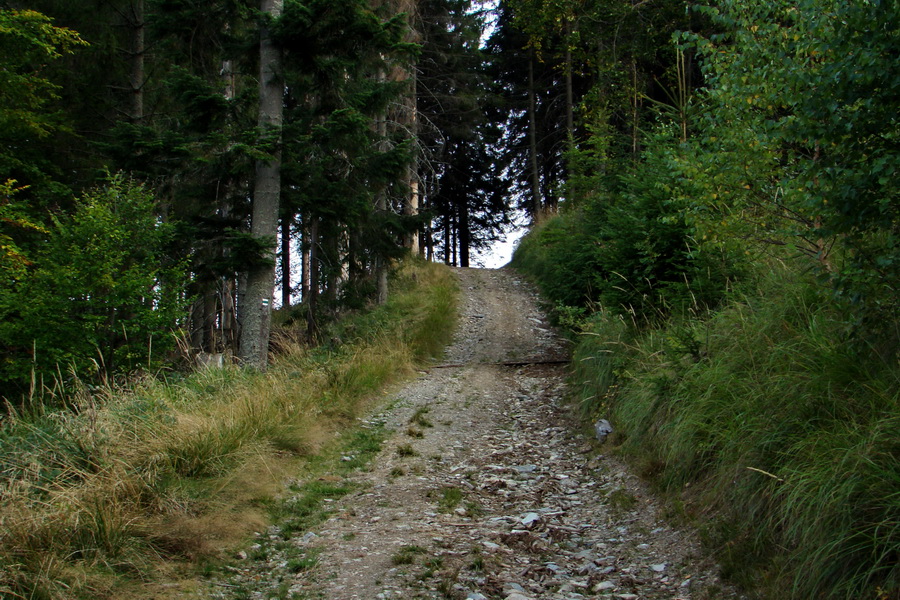 Skalisko a Zlatý stôl s nocľahom (Volovské vrchy)