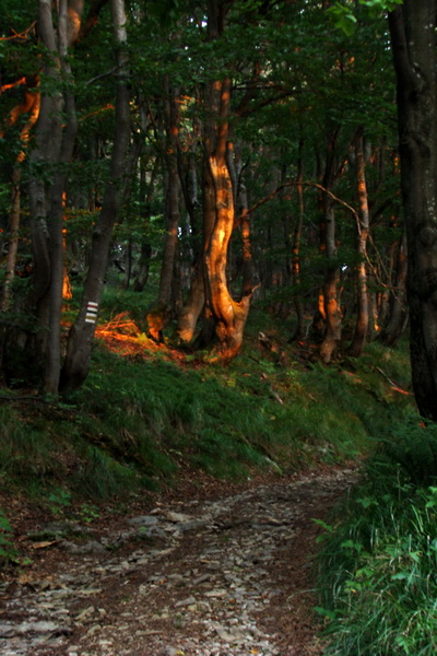 Skalisko a Zlatý stôl s nocľahom (Volovské vrchy)