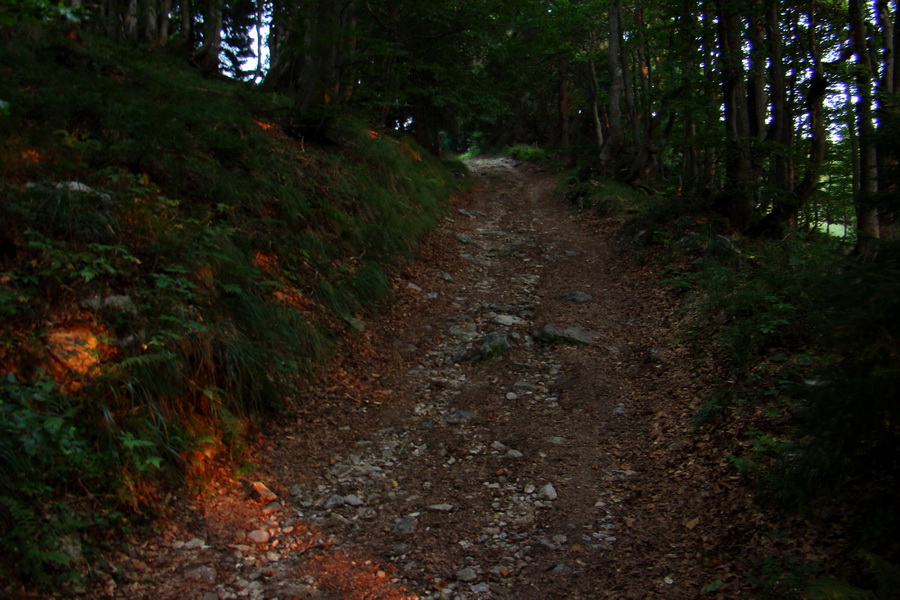 Skalisko a Zlatý stôl s nocľahom (Volovské vrchy)