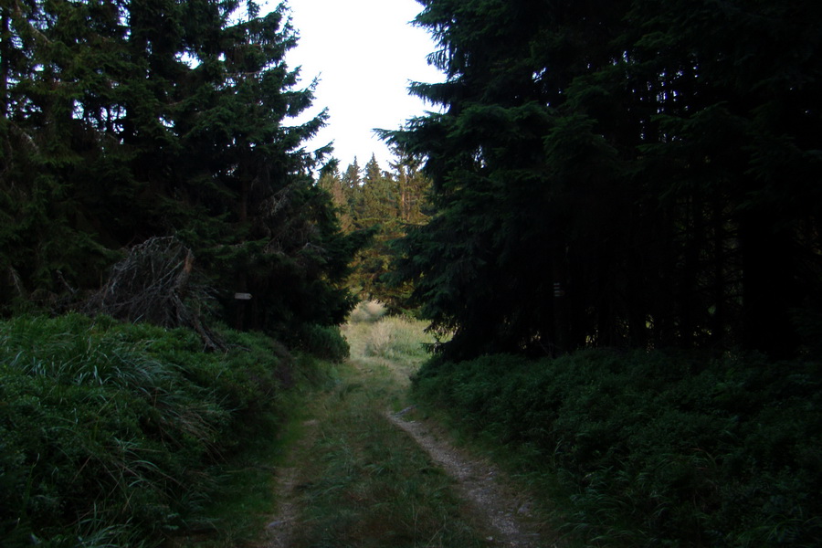 Skalisko a Zlatý stôl s nocľahom (Volovské vrchy)