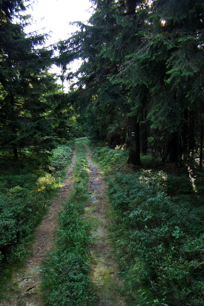 Skalisko a Zlatý stôl s nocľahom (Volovské vrchy)