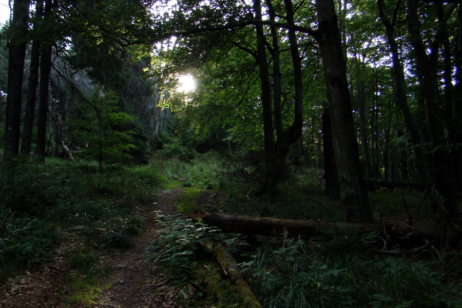 Skalisko a Zlatý stôl s nocľahom (Volovské vrchy)