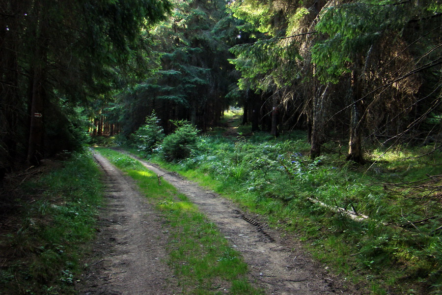 Skalisko a Zlatý stôl s nocľahom (Volovské vrchy)