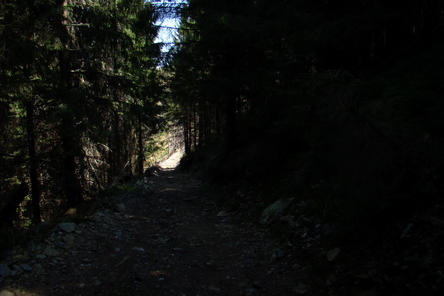 Skalisko a Zlatý stôl s nocľahom (Volovské vrchy)