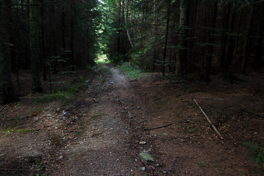 Skalisko a Zlatý stôl s nocľahom (Volovské vrchy)