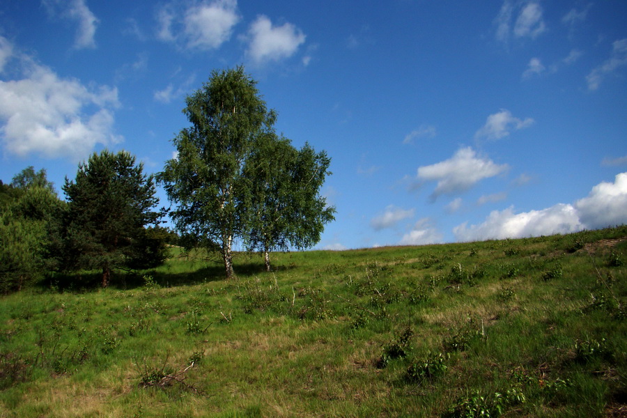 Sľubica a skelné okno na Rajtopíkoch (Branisko)