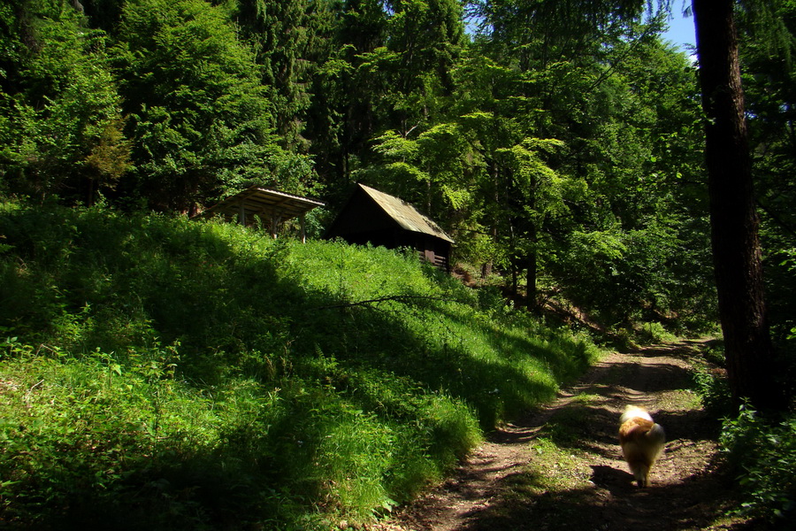 Sľubica a skelné okno na Rajtopíkoch (Branisko)