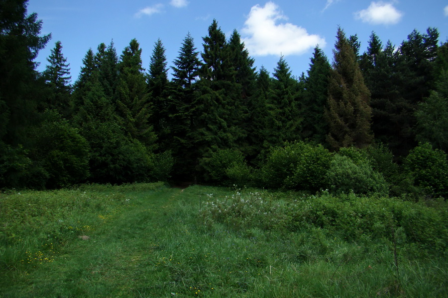 Sľubica a skelné okno na Rajtopíkoch (Branisko)