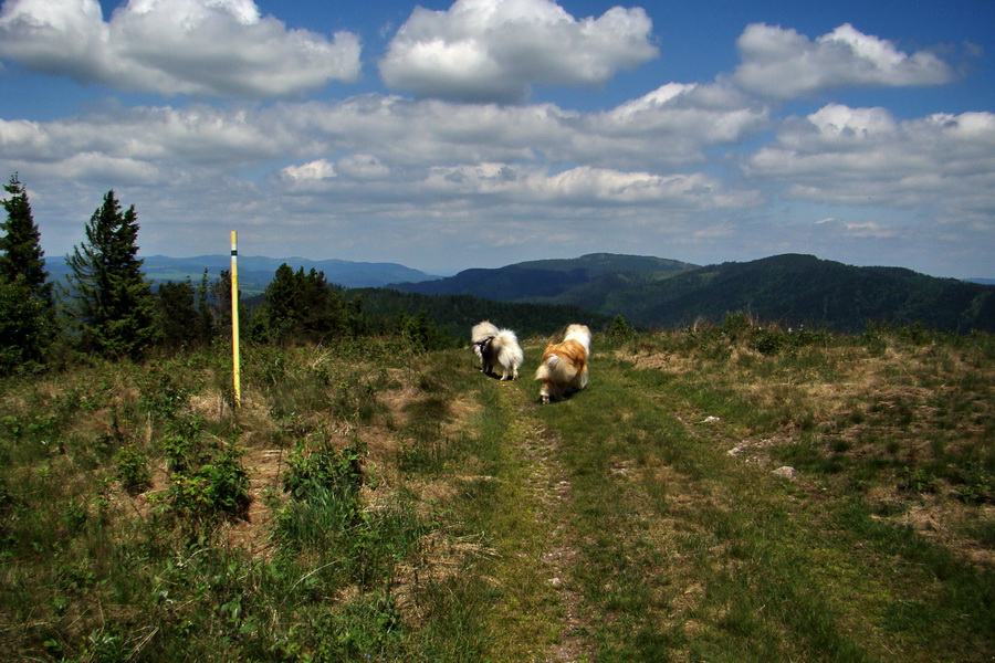 Sľubica a skelné okno na Rajtopíkoch (Branisko)