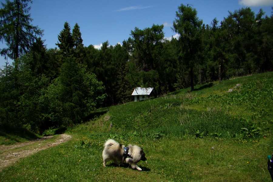 Sľubica a skelné okno na Rajtopíkoch (Branisko)