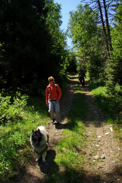 Sľubica a skelné okno na Rajtopíkoch (Branisko)