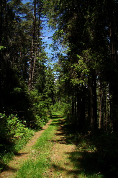 Sľubica a skelné okno na Rajtopíkoch (Branisko)