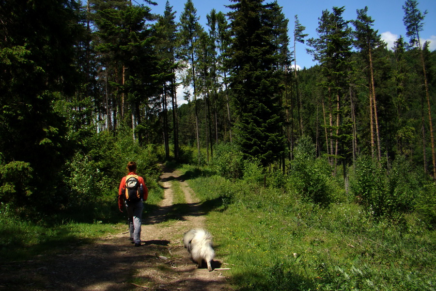 Sľubica a skelné okno na Rajtopíkoch (Branisko)