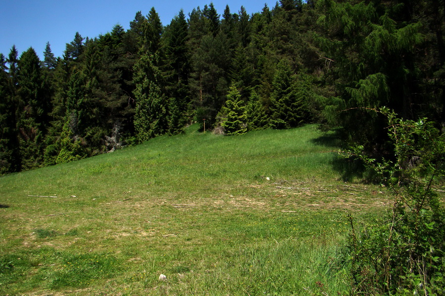 Sľubica a skelné okno na Rajtopíkoch (Branisko)