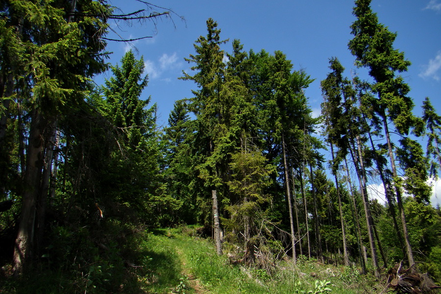 Sľubica a skelné okno na Rajtopíkoch (Branisko)