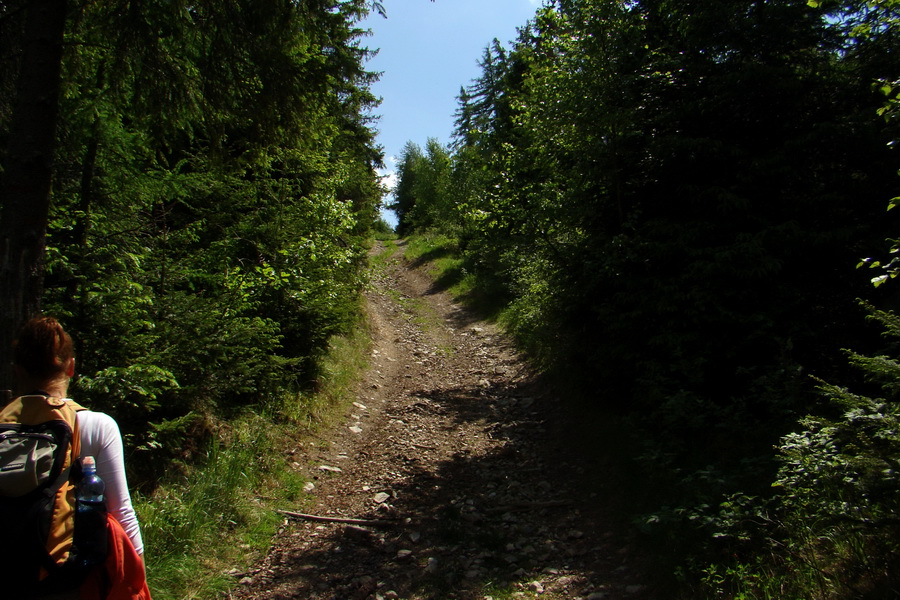 Sľubica a skelné okno na Rajtopíkoch (Branisko)