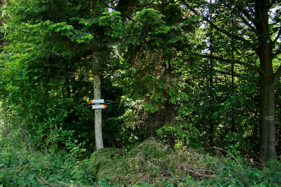 Sľubica a skelné okno na Rajtopíkoch (Branisko)