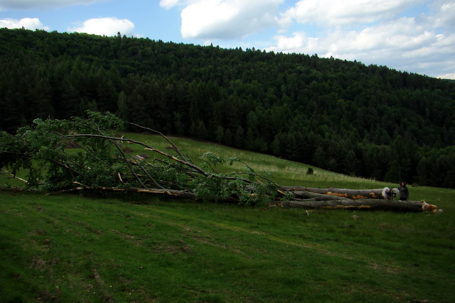 Sľubica a skelné okno na Rajtopíkoch (Branisko)