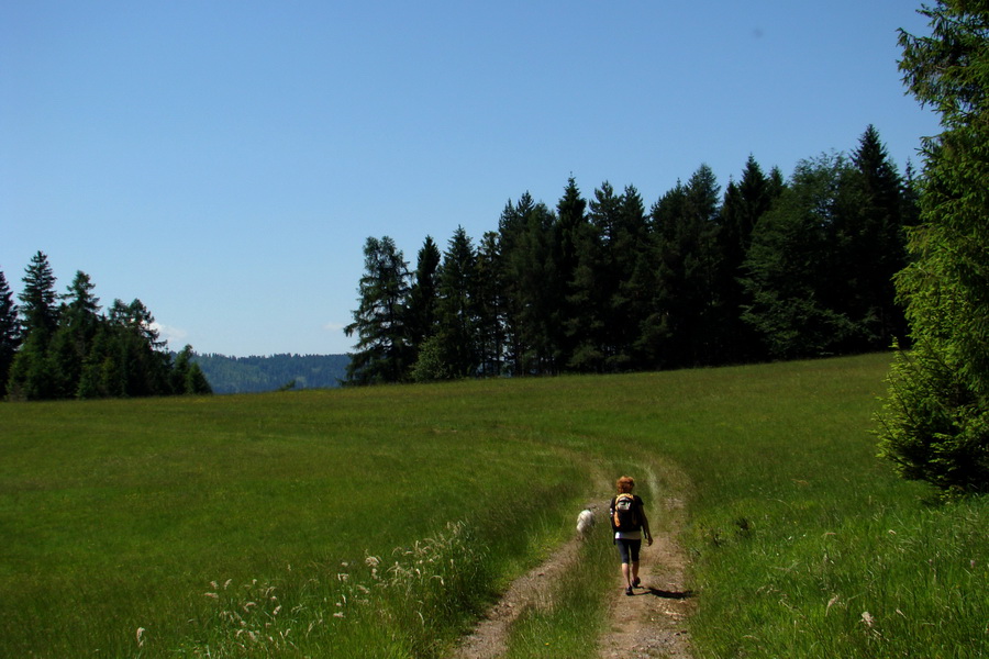 Vysoký vrch (Volovské vrchy)