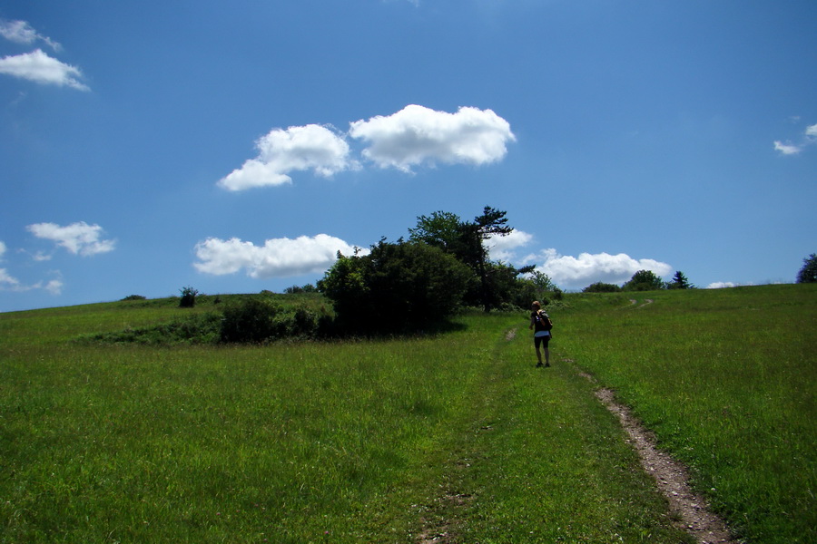 Vysoký vrch (Volovské vrchy)