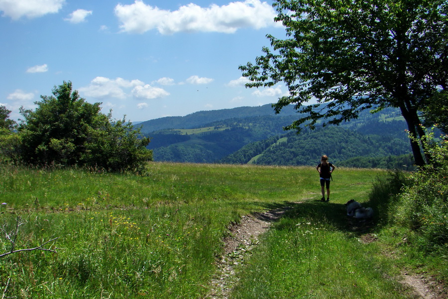 Vysoký vrch (Volovské vrchy)