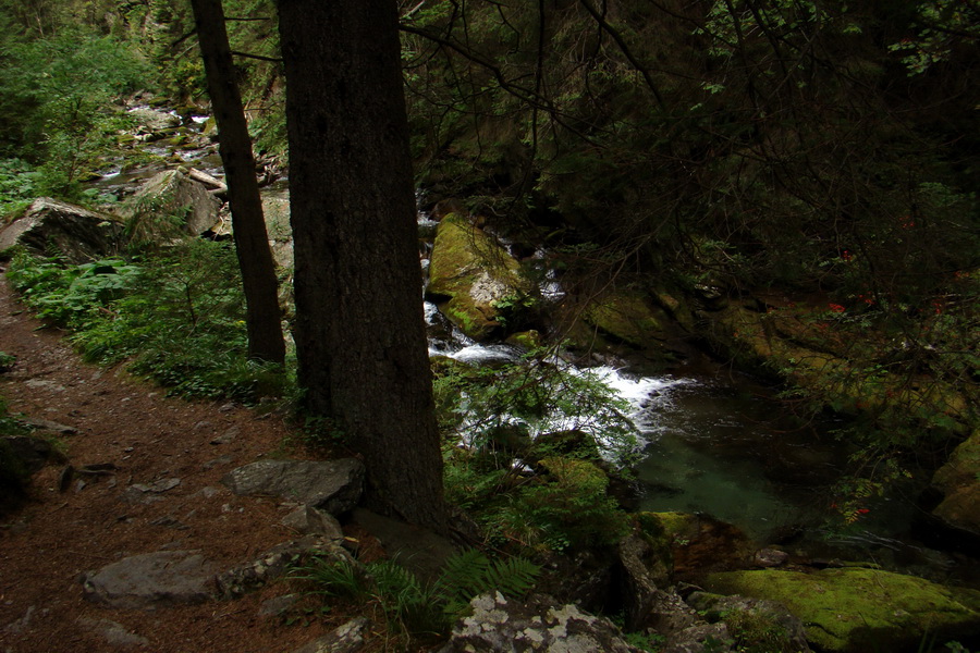 Baníkov zo Žiarskej doliny (Západné Tatry)