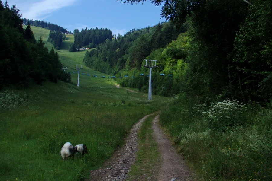 Biela skala z Krompách (cez Plejsy) (Volovské vrchy)