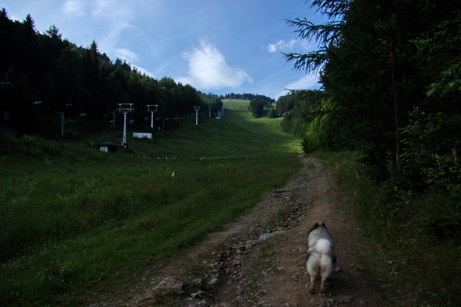 Biela skala z Krompách (cez Plejsy) (Volovské vrchy)