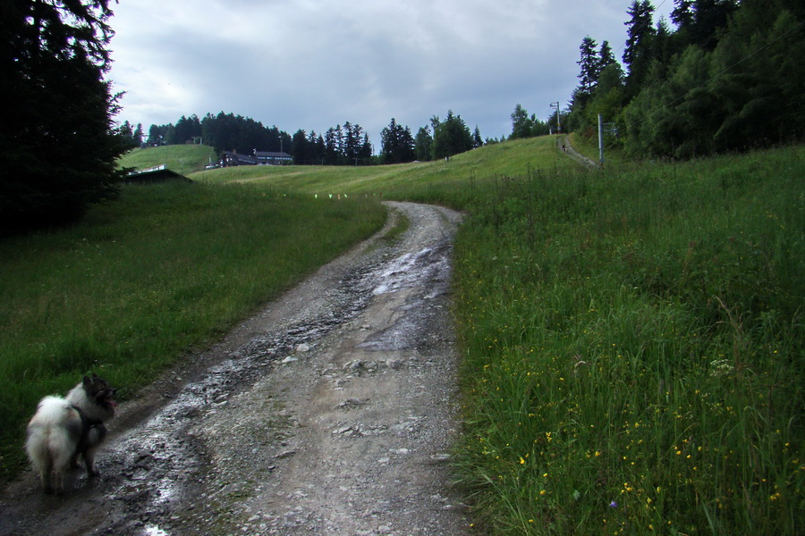 Biela skala z Krompách (cez Plejsy) (Volovské vrchy)