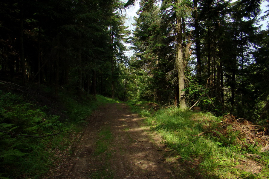 Biela skala z Krompách (cez Plejsy) (Volovské vrchy)