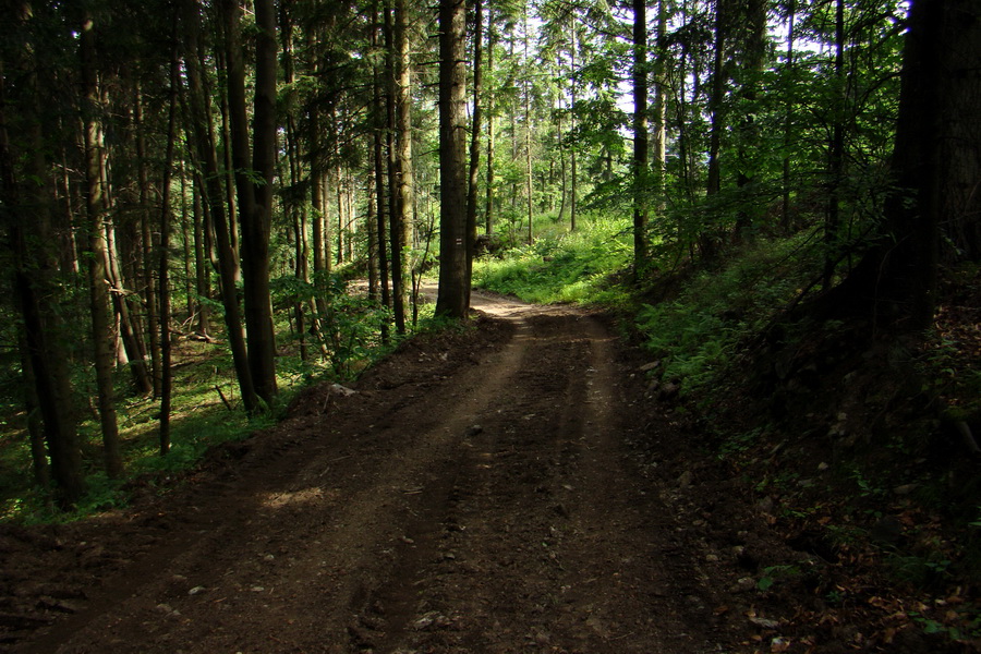 Biela skala z Krompách (cez Plejsy) (Volovské vrchy)