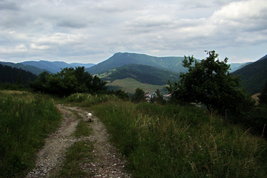 Biela skala z Krompách (cez Plejsy) (Volovské vrchy)