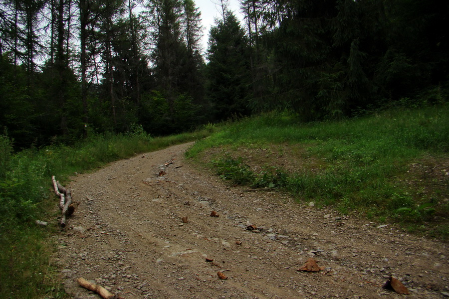 Biela skala z Krompách (cez Plejsy) (Volovské vrchy)