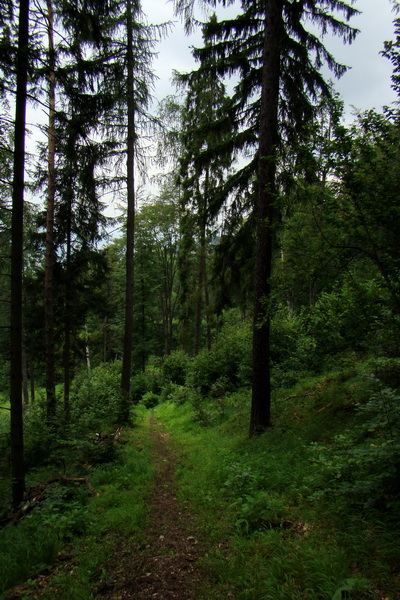 Biela skala z Krompách (cez Plejsy) (Volovské vrchy)