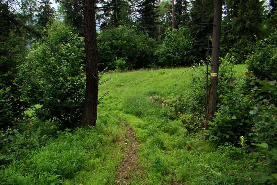 Biela skala z Krompách (cez Plejsy) (Volovské vrchy)