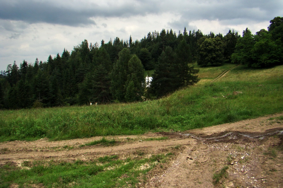 Biela skala z Krompách (cez Plejsy) (Volovské vrchy)