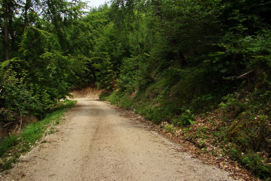 Biela skala z Krompách (cez Plejsy) (Volovské vrchy)