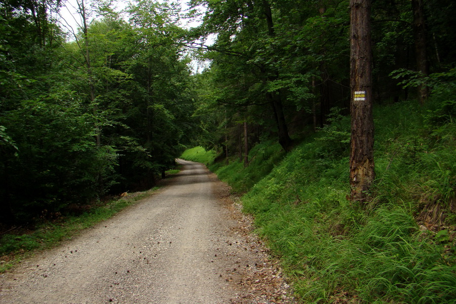 Biela skala z Krompách (cez Plejsy) (Volovské vrchy)