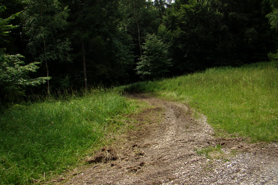 Biela skala z Krompách (cez Plejsy) (Volovské vrchy)