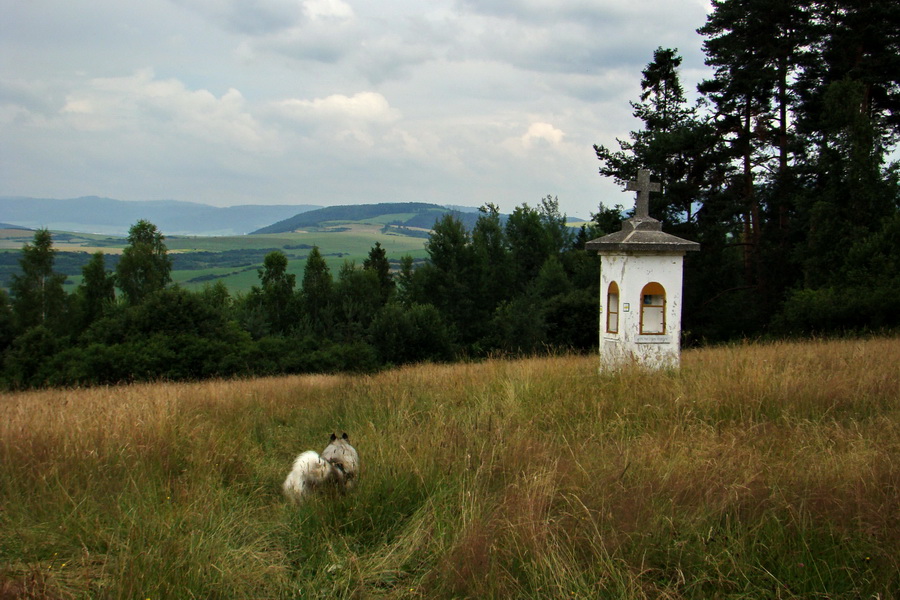 Biela skala z Krompách (cez Plejsy) (Volovské vrchy)