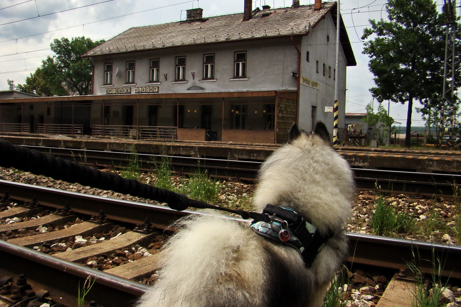 železničná stanica v Spišských Vlachoch