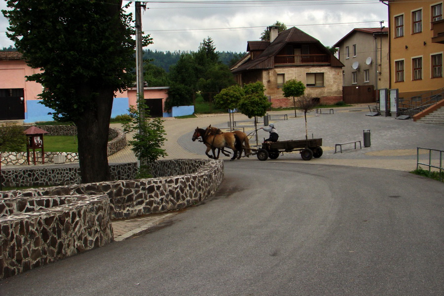 Bukovec a Holý vrch (Volovské vrchy)