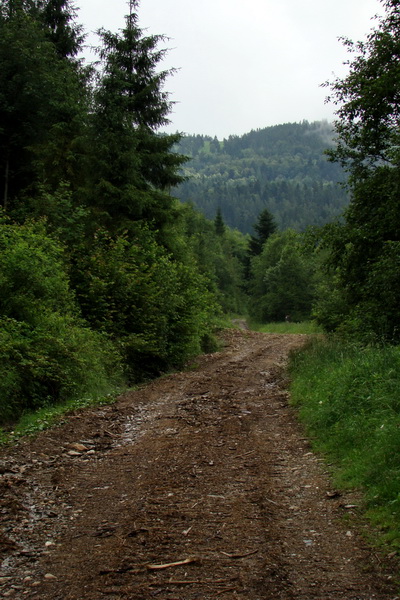 Bukovec a Holý vrch (Volovské vrchy)