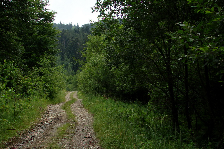 Bukovec a Holý vrch (Volovské vrchy)