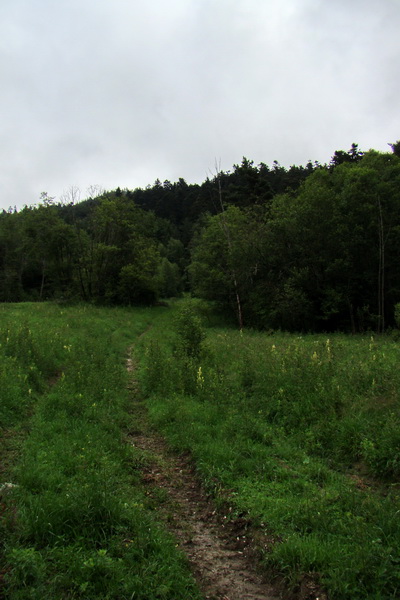 Bukovec a Holý vrch (Volovské vrchy)