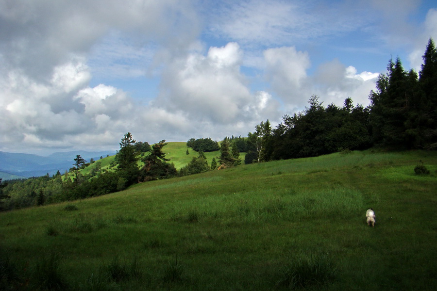 Bukovec a Holý vrch (Volovské vrchy)